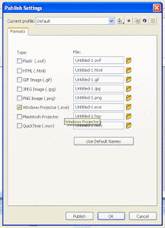 flash animation membuat CD autorun