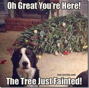 tree just fainted