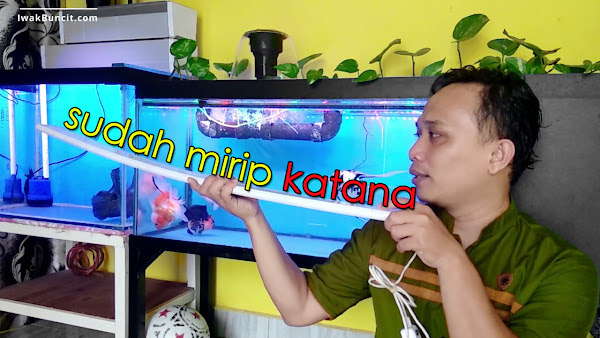 Mau Beli Lampu LED Gantung 1 Meter untuk Aquarium Ikan Mas Koki? Baca Ini Dulu Sebelum Menyesal!