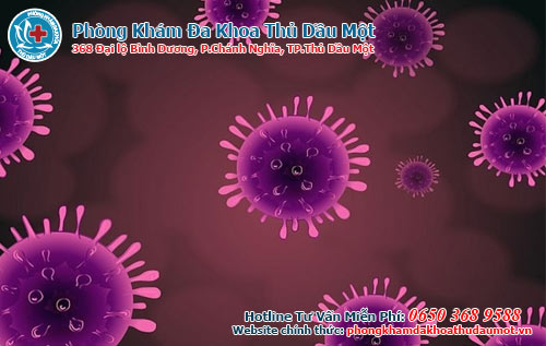 Thật sự virus hpv chết ở nhiệt độ bao nhiêu