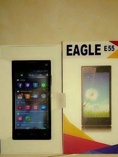 Cara Flashing Eagle E55