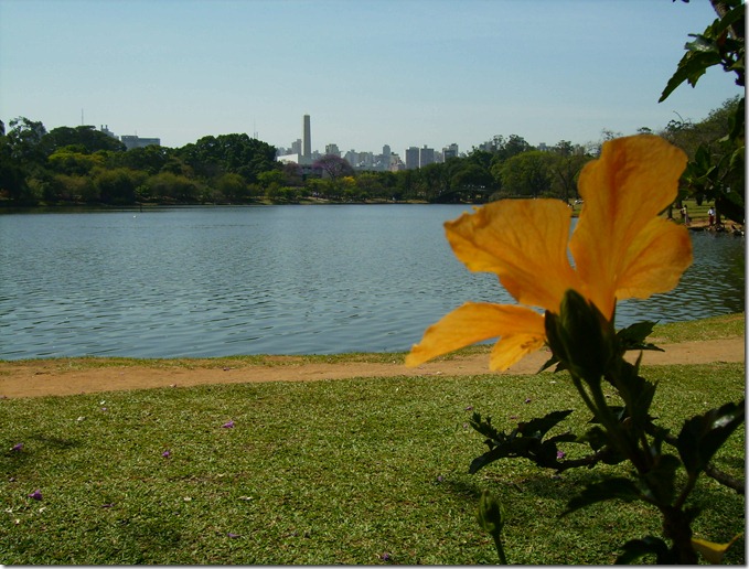 ibirapuera-sao-paulo-brasil