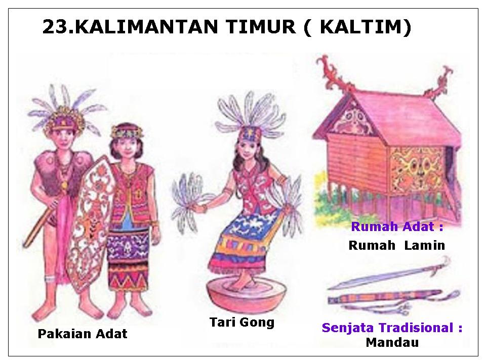 Rumah Adat Pakaian Adat Dan Senjata Tradisional Daerah 