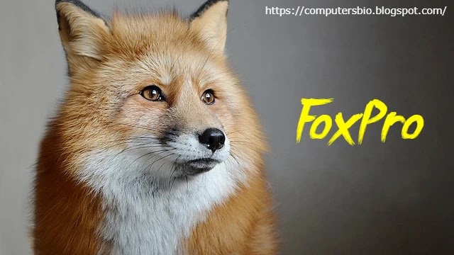 What-is-FoxPro-in-Computer