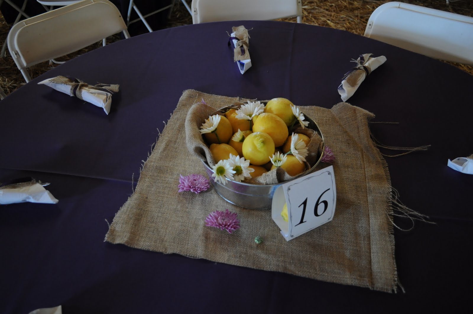 SLO Wedding Adventures with Lavender Blue Events: Alisha & Vinces Wedding