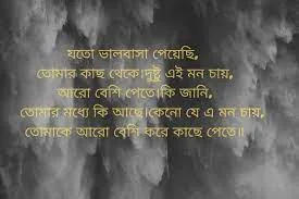 বাংলা দুঃখের সাইরি ফটো - ভালোবাসার দুঃখের সাইরি -  ব্রেকআপ সাইরি বাংলা - shayari pic bangla - insightflowblog.com - Image no 17