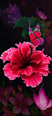 Butterfly On Flower iPhone Wallpaper With 675x1500 Resolution