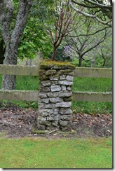 DSC_1244 (400 x 600)