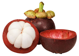 khasiat kulit buah manggis