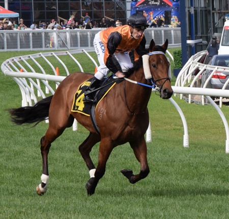 race 5_legless veuve 2