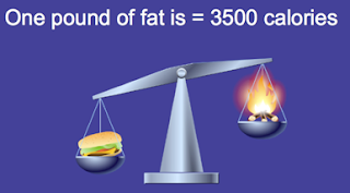 1 Pound Of Fat  = 3,500 Calories