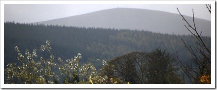 24 Oct 11.ORF