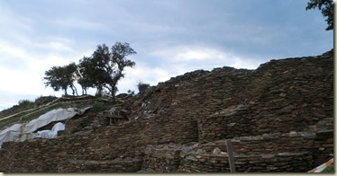 CIMG3765