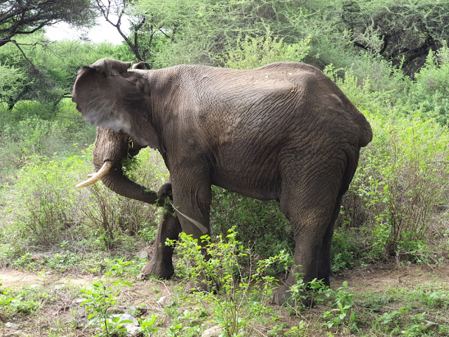 Lake Manyara