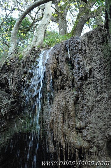 El Viejo Molino