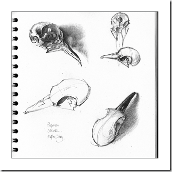 skull