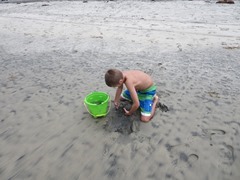 IMG_2646