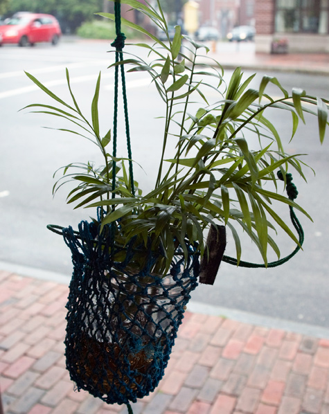 Bag Planter5