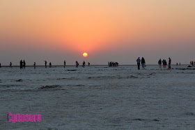 What To Do During Rann Utsav, Detailed Itinerary For A Day At The White Desert