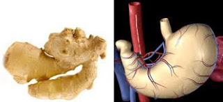 9 Bahan Makanan Yang Serupa Dengan Organ Tubuh