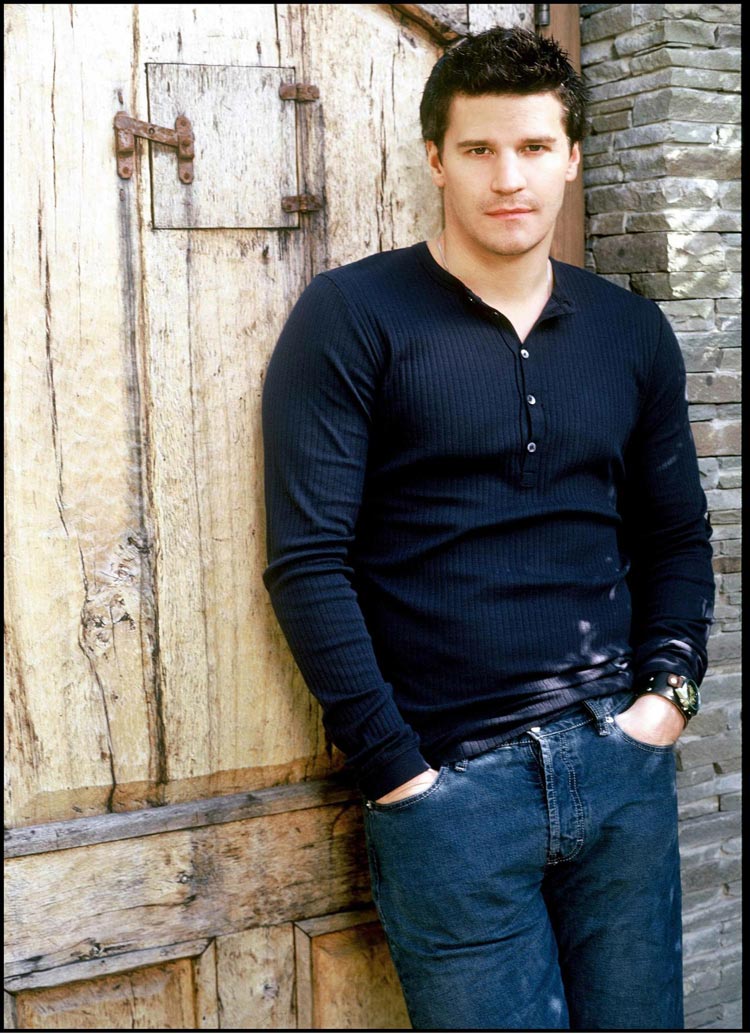 david boreanaz pictures