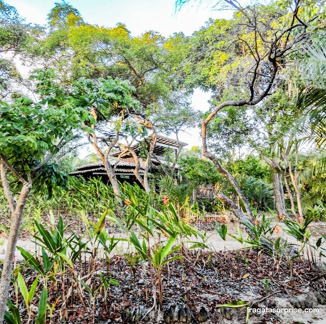 Um chalé no meu jardim, alojamento na Vila do Diogo na Bahia