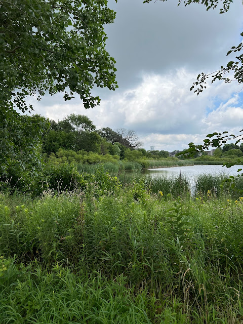 Several ponds provide for additional wildlife viewing along the Otter Creek Trail.