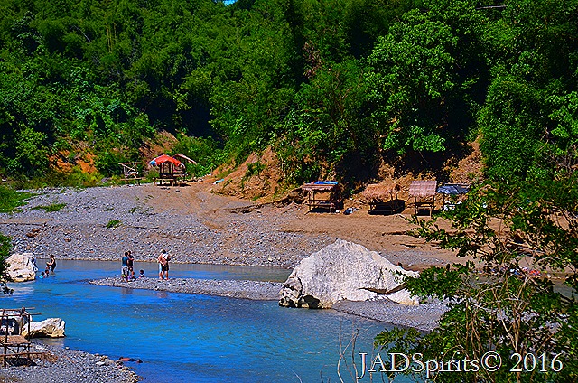 DSC_0330_dappled