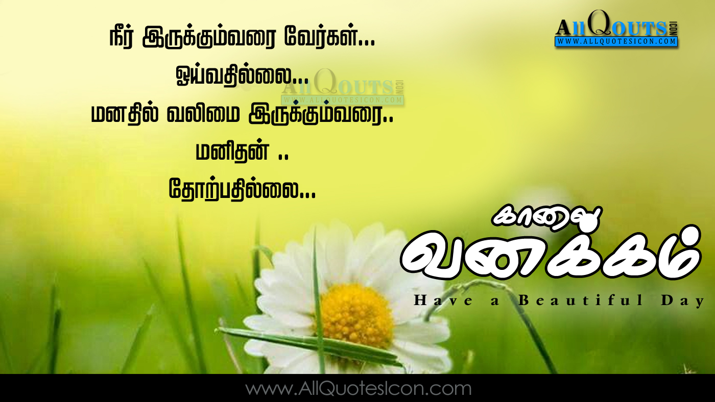 Beautiful Good Morning Greetings In Tamil Pictures Best Happy Good