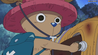 ワンピース アニメ 150話 チョッパー Tony Tony Chopper | ONE PIECE Episode 150