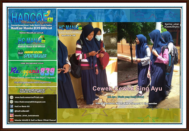 Rengganis Picture 839 - Gambar SMA1 N.be Versi Cah Ayu Khas Spesial B BR - 15