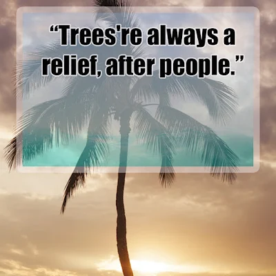 Inspirational quotes about trees Quotes on importance of trees Planting Tree Quotes