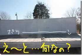今日カズ１００１０９　５