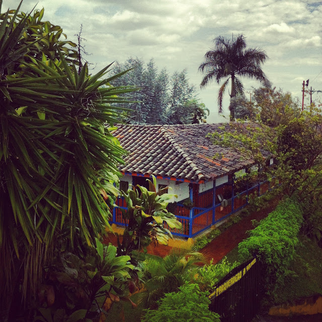 Eje cafetero Colombia de una / Toya Viudes