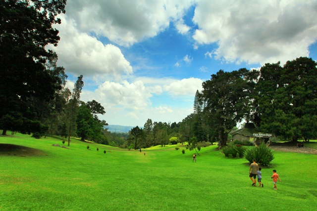 Kebun Raya Cibodas Wisata Menarik Dekat Puncak Wisata Kebun Raya Cibodas Wisata Menarik Dekat Puncak Wisata
