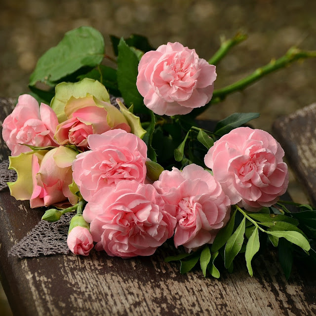 pink roses bouquet