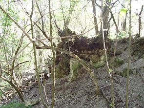 Kapitányvölgyi kőbánya nyomai 2007