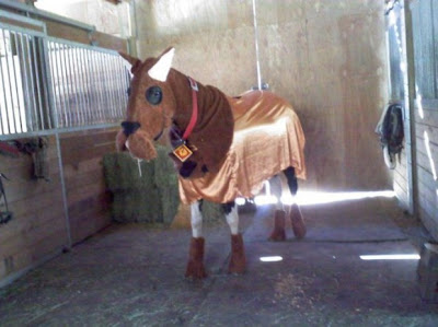 horse fancy dress