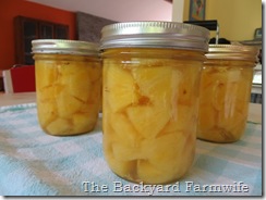 Canning Fresh Pineapple - The Backyard Farmwife