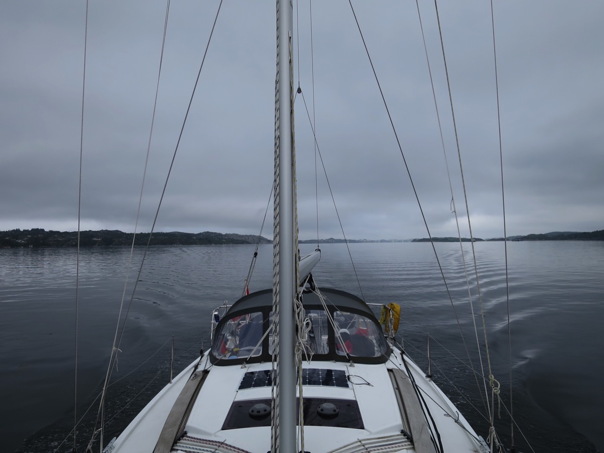 IMG 0077