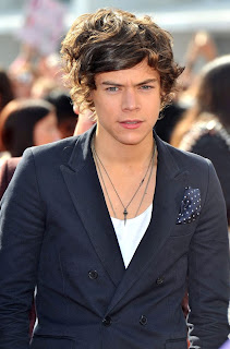 Harry Styles brown hairs