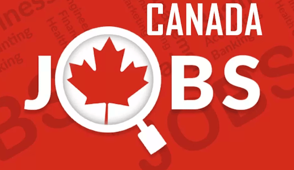 أفضل 13 موقعًا للعثور على عمل في كندا من الخارج عام  2023/ 2024 Les 13 meilleurs sites pour trouver un travail au Canada depuis l’étranger en  2023/ 2024