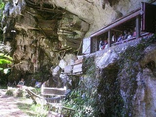 Tana Toraja 