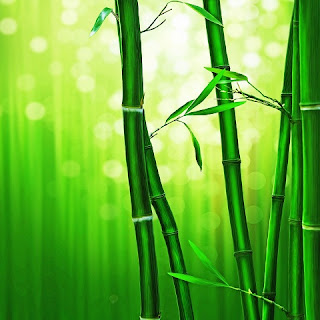 bamboo crops, most profitable crop,