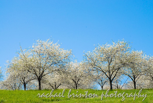 2010 Traverse City-69