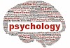 THE PSYCHOLOGIST