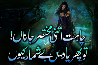 Tu Phir Yaadain Be-shumar Kiun,,