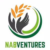 NABVENTURES Limited Recruitment 2019
