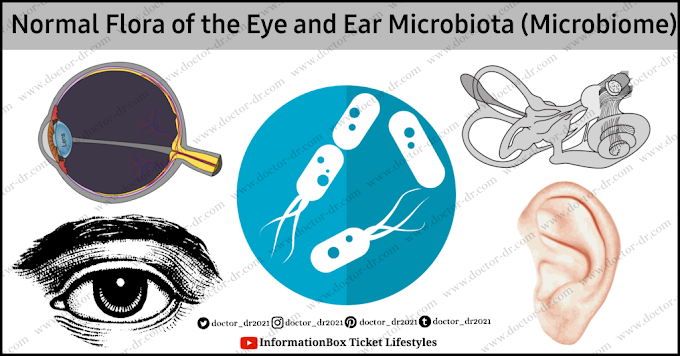 Normal Flora of the Eye and Ear Microbiota (Microbiome)