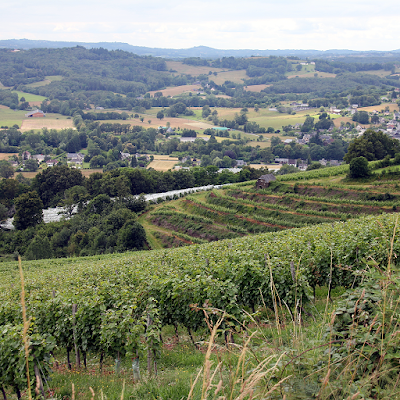 Slopes planted on terraces.